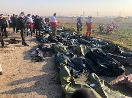 پنهان‌کاری علت سقوط هواپیمای اوکراینی کار بسیار زننده و ناپسندی بود/گفتن اینکه خطای انسانی موجب شلیک به این هواپیما شده است، کفایت نمی‌کند