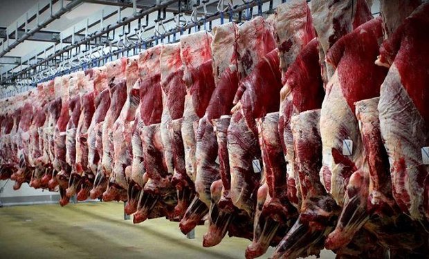 گوشت قرمز در استان ۱۰ تا ۱۵ هزار تومان از بقیه جاها گران تر است/ کمیته قیمت گذاری گوشت قرمز تشکیل می شود/ تنها ۱۵ درصد گوشت قرمز از خارج استان تامین می شود
