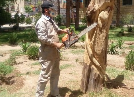فراخوان ایده‌های خلاقانه برای درختان خشک‌شده کرمان