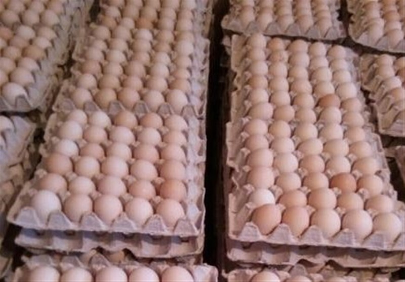 صادرات تخم مرغ از استان کرمان