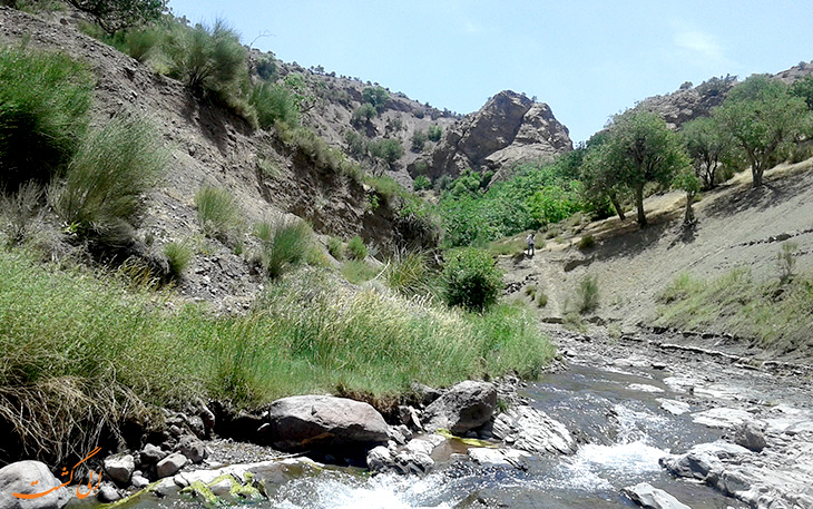 حریم رودخانه سیرچ استان کرمان رفع تصرف می‌شود/ دومین استان سیل زده هستیم/آب منطقه‌ای وظیفه لایروبی رودخانه‌ها را به عهده دارد