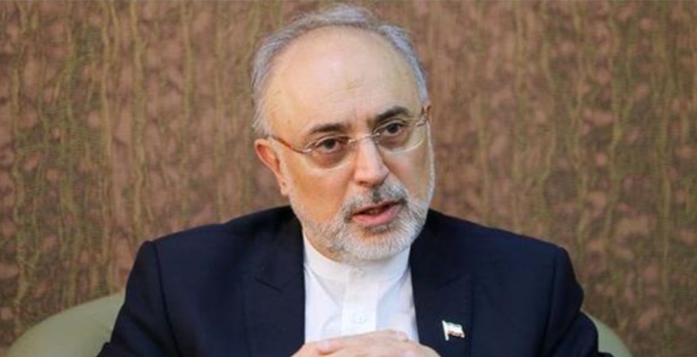 علی اکبر صالحی: سازمان انرژی اتمی اثبات کرد که حداکثر هوشمندی را در مذاکرات و در متن برجام به خرج داده است
