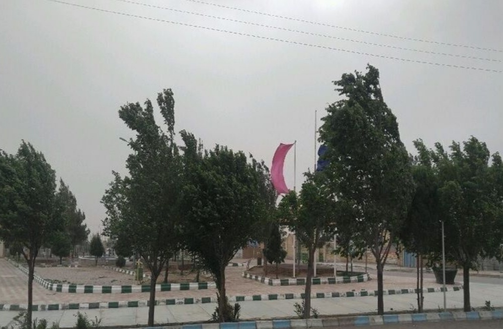 سرعت باد در کرمان شدت می‌گیرد/ نخلداران شرق استان مراقبت کنند