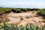 سیل و بارندگی  ۱۳۳ میلیارد تومان به بخش کشاورزی عنبرآباد خسارت وارد کرد